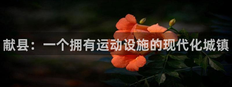 沐鸣3注册：献县：一个拥有运动设施的现代化城镇