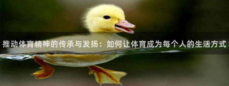 沐鸣vk：推动体育精神的传承与发扬：如何让体育成为每个人的生活方式