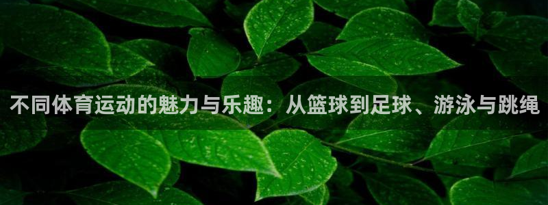 沐鸣注册官网入口：不同体育运动的魅力与乐趣：从篮球到足球、游泳与跳绳