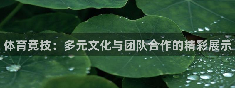沐鸣主管：体育竞技：多元文化与团队合作的精彩展示