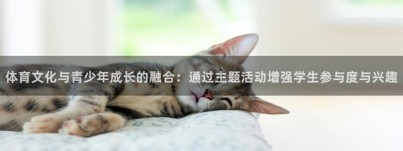 沐鸣集团股票：体育文化与青少年成长的融合：通过主题活动增强学生参与度与兴趣