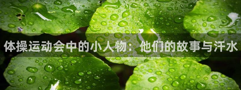 沐鸣体育注册登录入口：体操运动会中的小人物：他们的故事与汗水