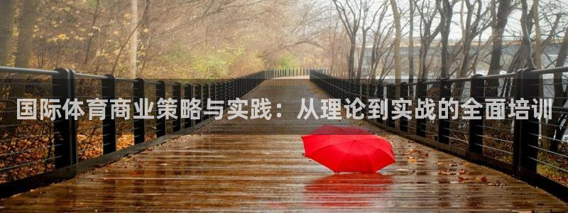 沐鸣3平台登录：国际体育商业策略与实践：从理论到实战的全面培训