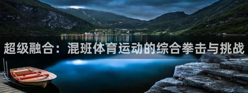 上海沐鸣汽车电子有限公司：超级融合：混班体育运动的综合拳击与挑战