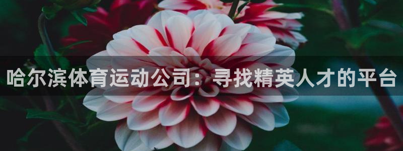 沐鸣凯捷平台：哈尔滨体育运动公司：寻找精英人才的平台