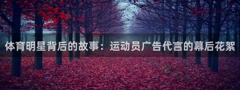 沐鸣体育eon：体育明星背后的故事：运动员广告代言的幕后花絮