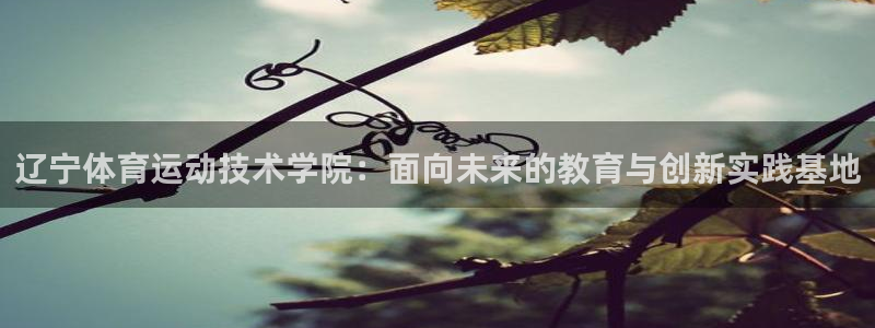 沐鸣招商：辽宁体育运动技术学院：面向未来的教育与创新实践基地