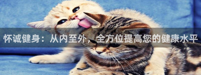 沐鸣3注册：怀诚健身：从内至外，全方位提高您的健康水平