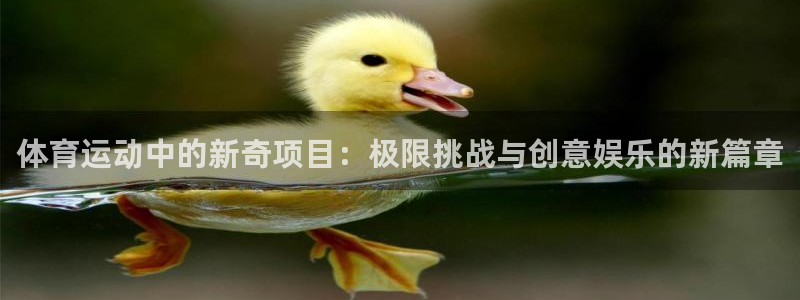 沐鸣官网：体育运动中的新奇项目：极限挑战与创意娱乐的新篇章