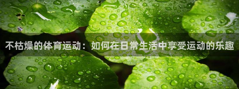 沐鸣网站：不枯燥的体育运动：如何在日常生活中享受运动的乐趣