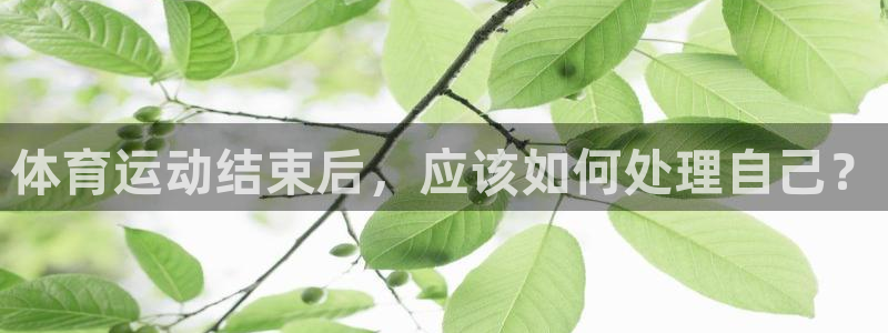 佛山市南海沐鸣机电仪器有限公司：体育运动结束后，应该如何处理自己？