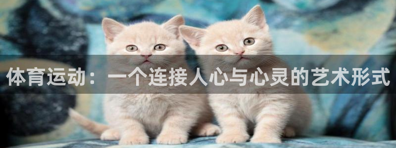 沐鸣2平台：体育运动：一个连接人心与心灵的艺术形式
