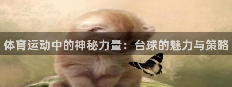 沐鸣网址：体育运动中的神秘力量：台球的魅力与策略