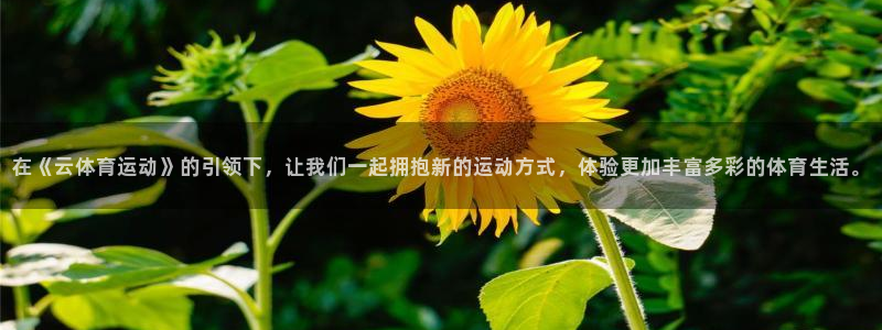 沐鸣体育游戏：在《云体育运动》的引领下，让我们一起拥抱新的运动方式，体验更加丰富多彩的体育生活。