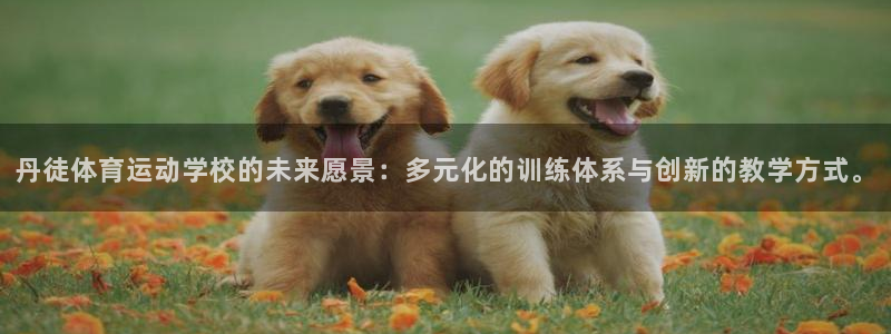 沐鸣集团总部：丹徒体育运动学校的未来愿景：多元化的训练体系与创新的教学方式。