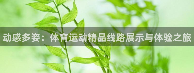 沐鸣2注册：动感多姿：体育运动精品线路展示与体验之旅