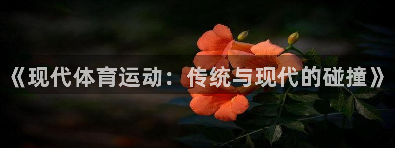 沐鸣2平台代理注册：《现代体育运动：传统与现代的碰撞》