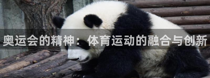 沐鸣体育eon：奥运会的精神：体育运动的融合与创新