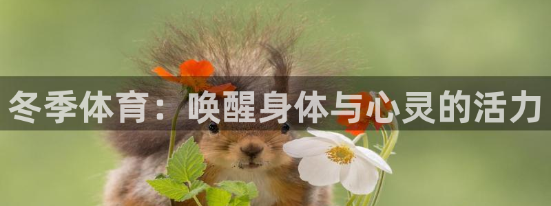 沐鸣4：冬季体育：唤醒身体与心灵的活力